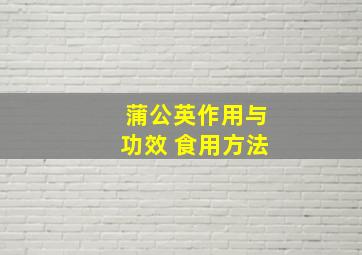 蒲公英作用与功效 食用方法